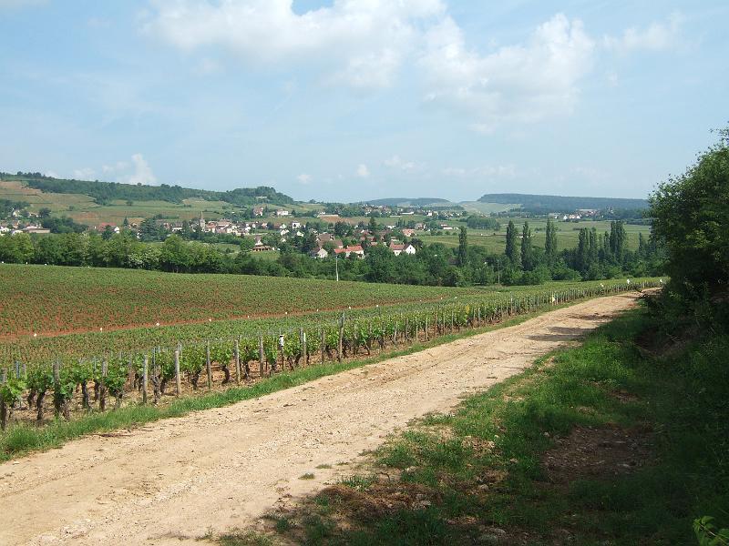 2010-05- (44).JPG - Blick auf Mellecey